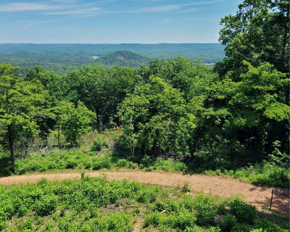 Morrow Mountain hiking trail in Uwharrie Mountains