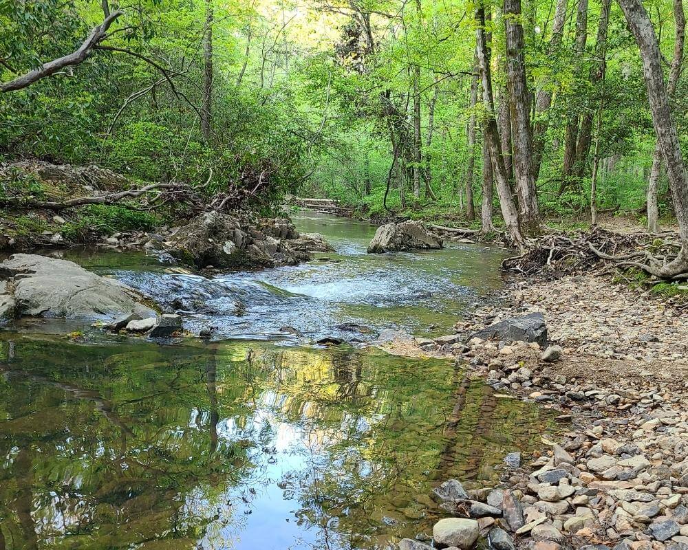 A creek on Robbins Branch Trail in Uwharrie