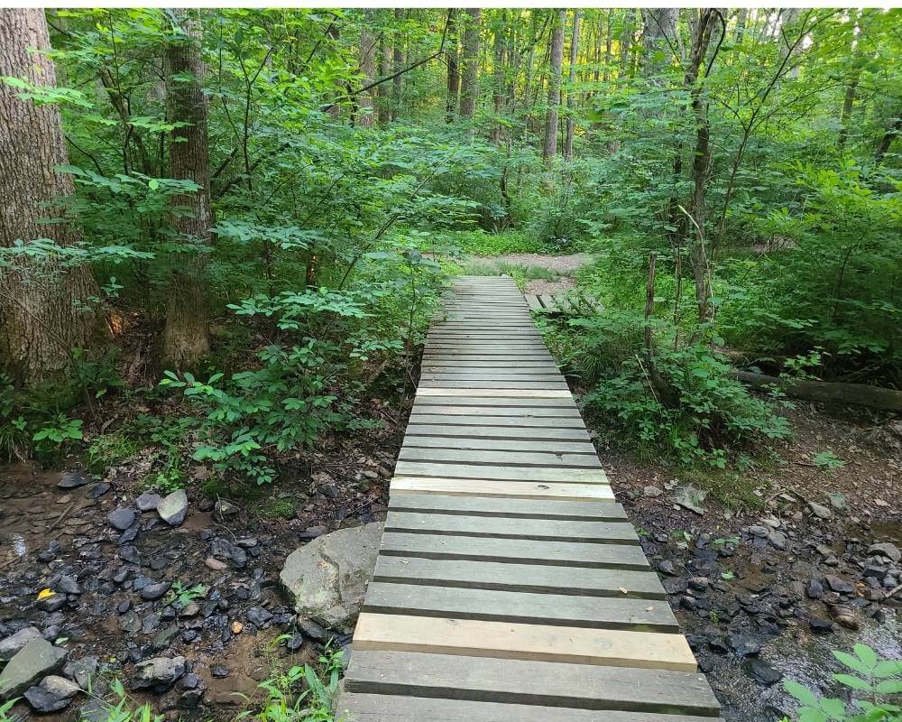 A bridge at Tot Hill Farm Trail in Uwharrie National Forest