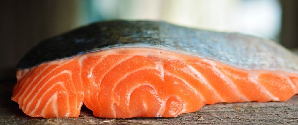 salmon