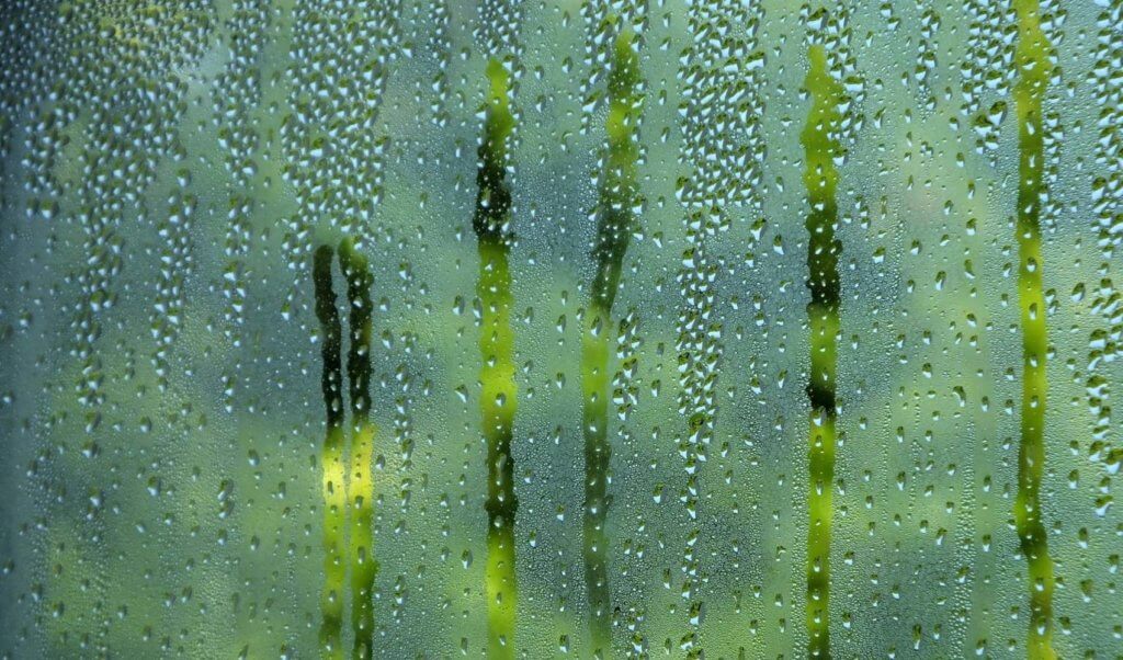 Condensation forming on camper van window