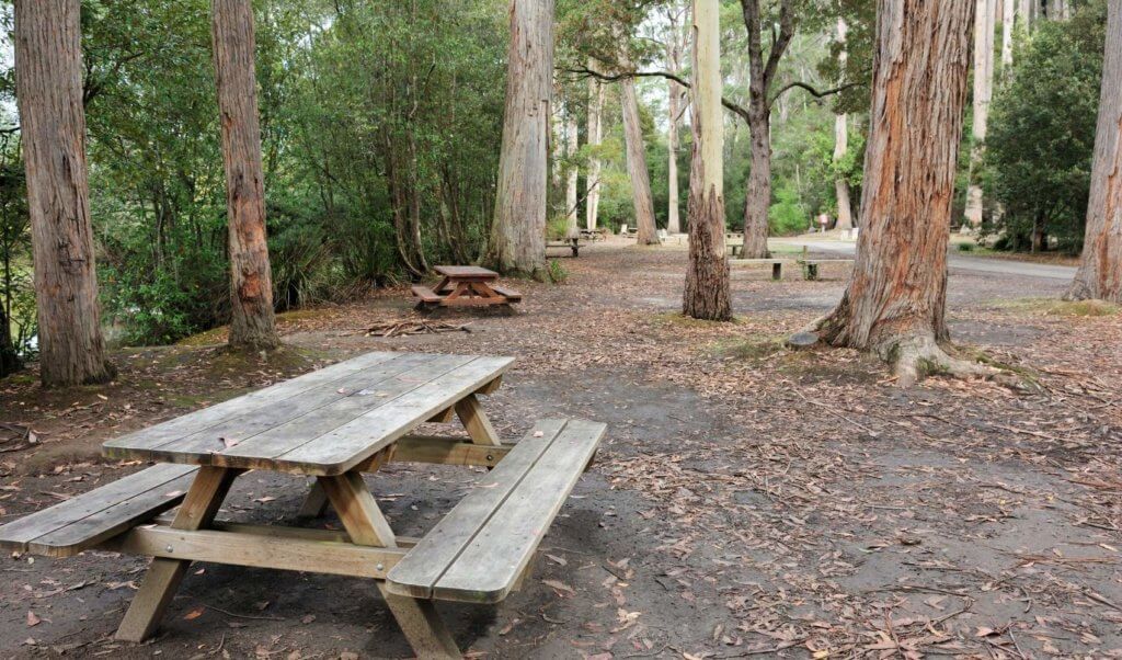 Camping spots with picnic tables
