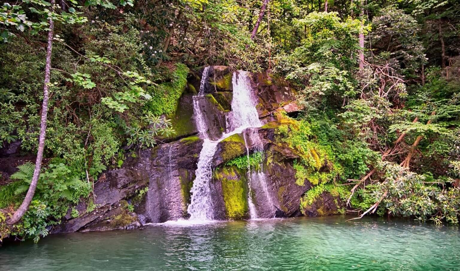 Explore the 6 Tropical Waterfalls at Lake Jocassee » Adventureseverywhere