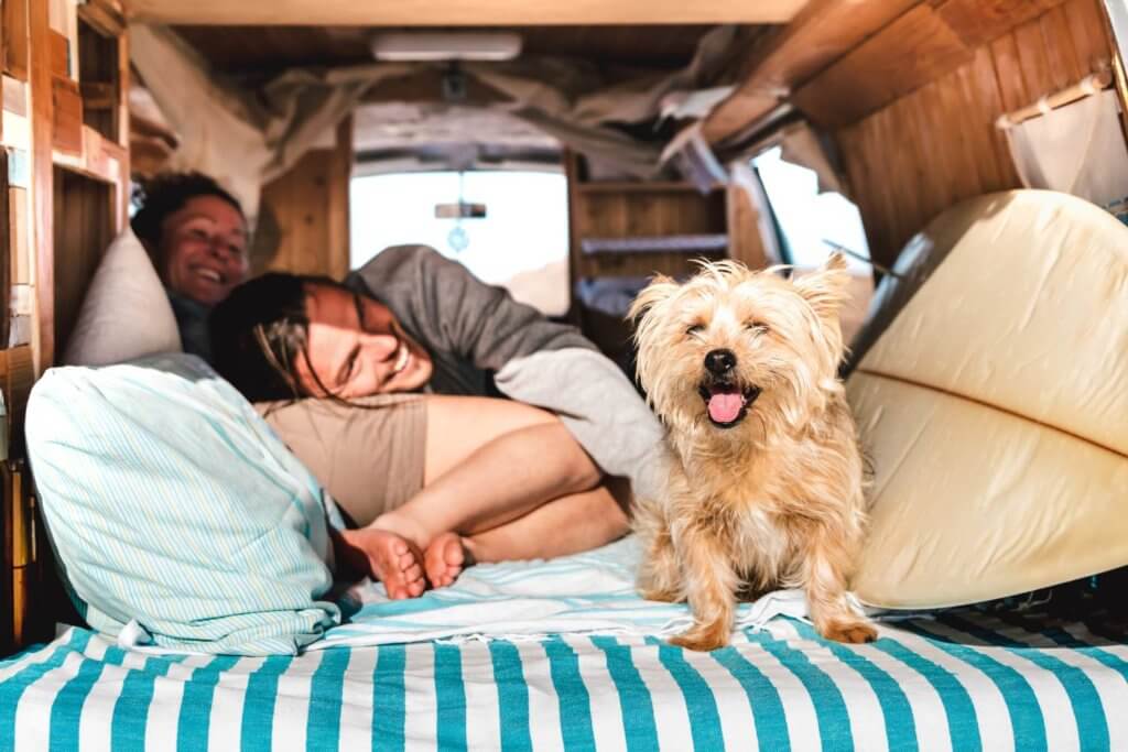 camper van bed with people and a dog