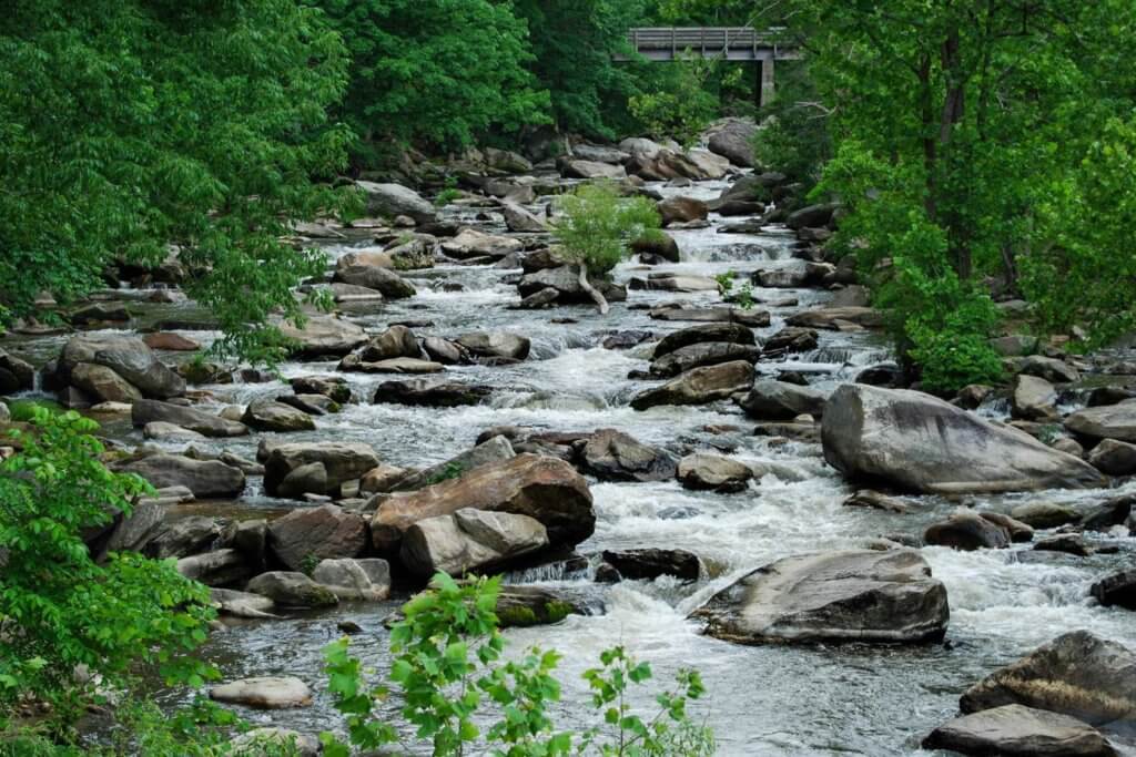 Rocky Broad River