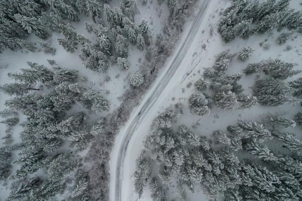 Snowy roads in between pine trees