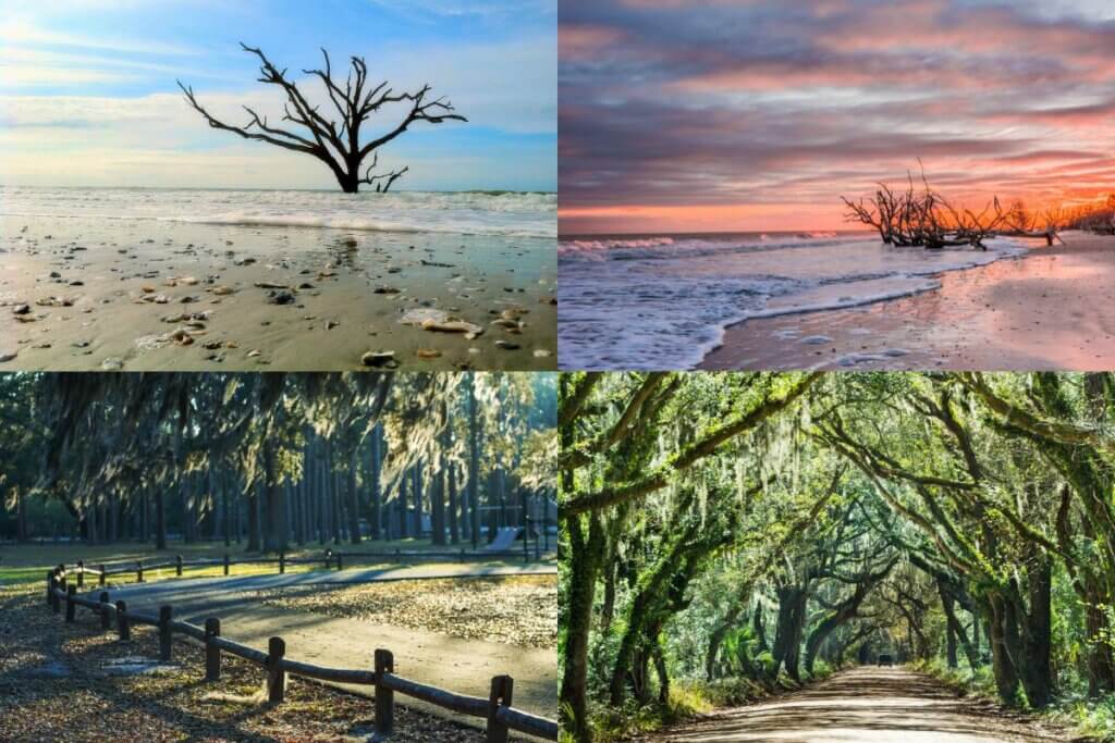 Botany Bay Beach at Edisto Island, 4 pictures of beaches and woods