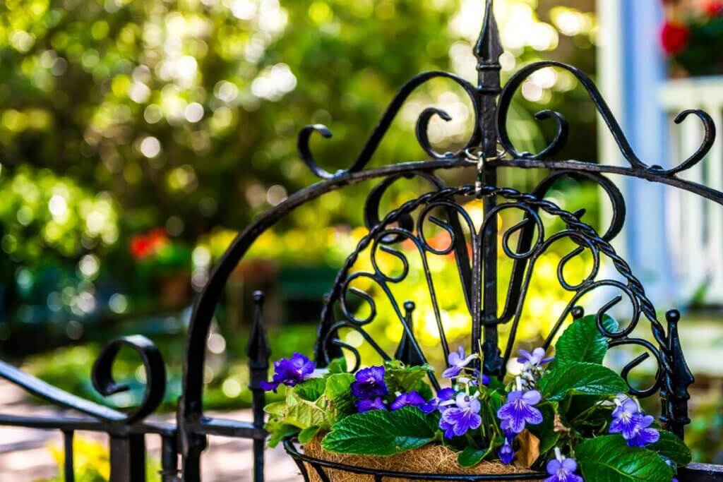 Charleston Gateway walk with pretty garden flowers hanging on an iron post