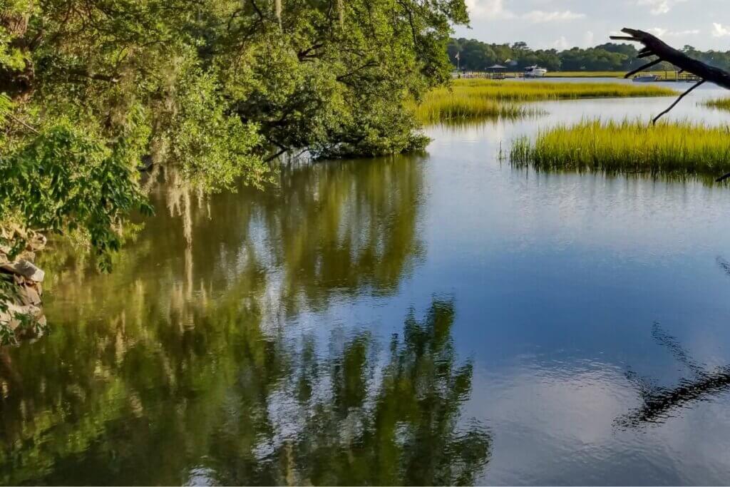 marsh lands in Charleston
