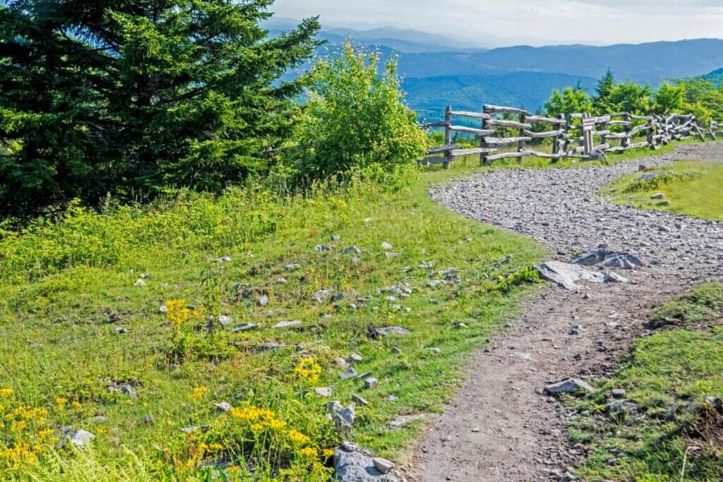 trail in Grayson Highlands