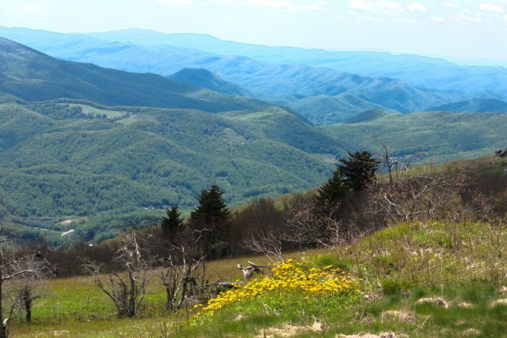 White Top Mountain hiking trail in Virginia