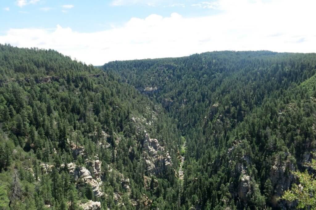 Coconino National Forest in Flagstaff Arizona