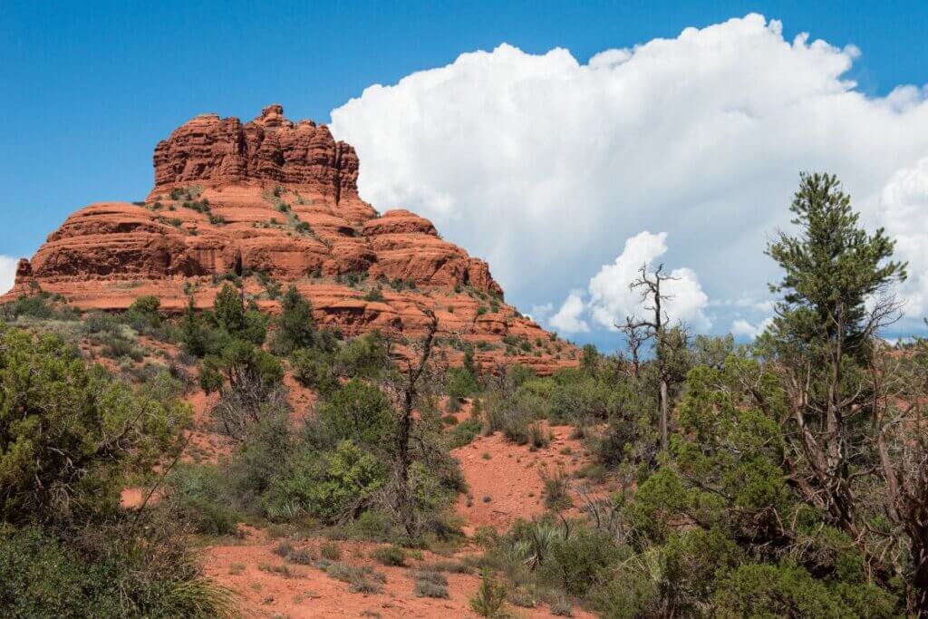 Coconino National Forest in Flagstaff Arizona