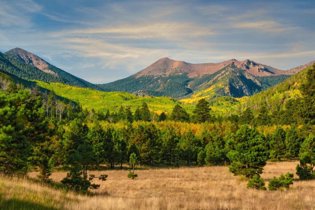 Coconino National Forest in Flagstaff Arizona