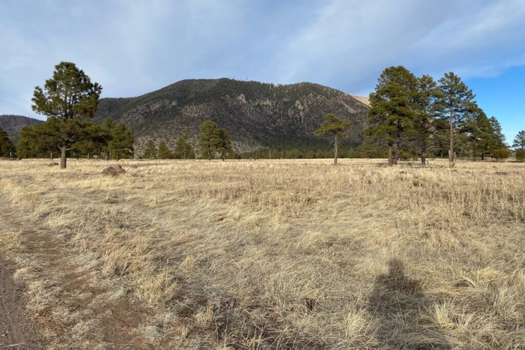 Buffalo Park in Arizona