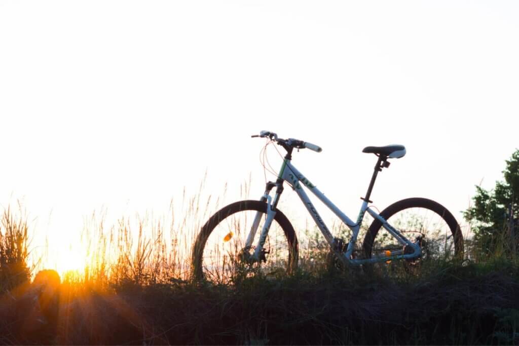 Biking Parks in Arizona