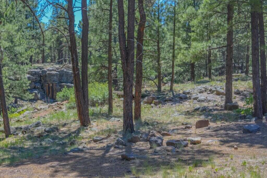 OLeary Trail in Flagstaff Arizona