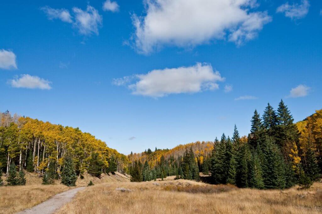 Hiking trail in Flagstaff Arizona