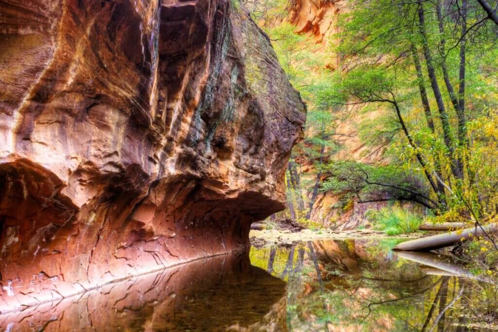 Oak creek in the fall time in Sedona Arizona