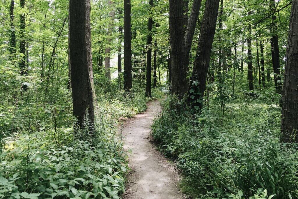 hiking trail near Belews Lake