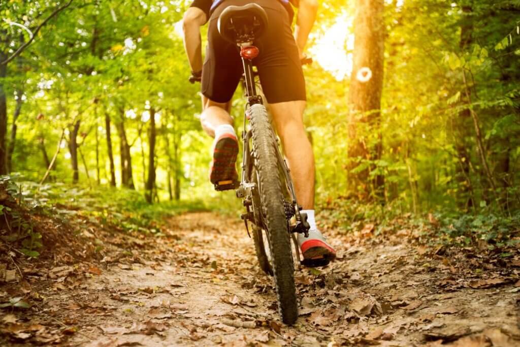 biking in Uwharrie Forest