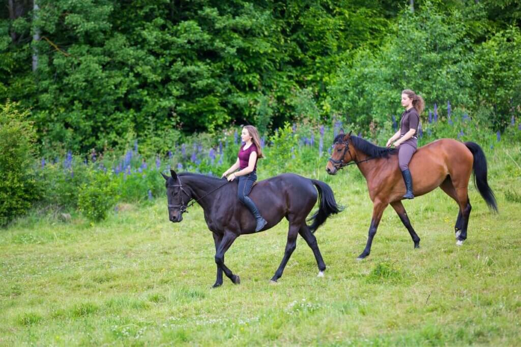 2 people horse back riding in Uwharrie forest