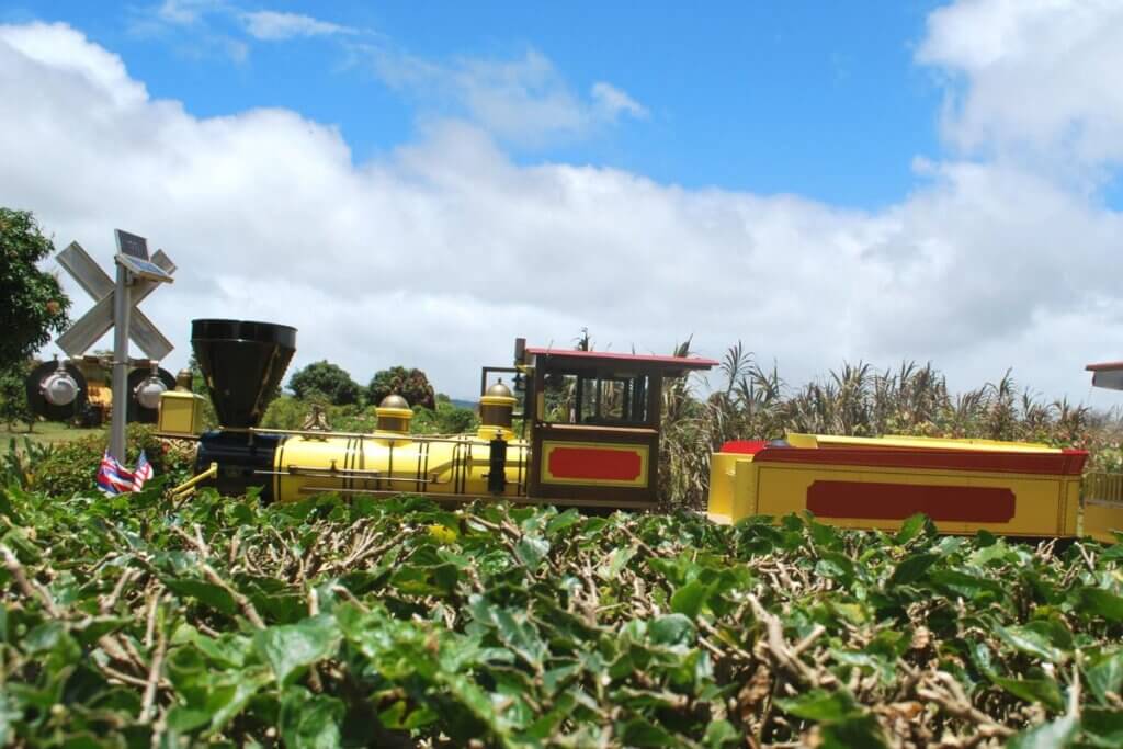 The train ride at the Dole Plantation