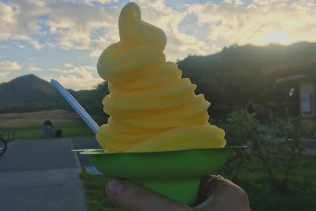 Dole Whip at the Dole Plantation