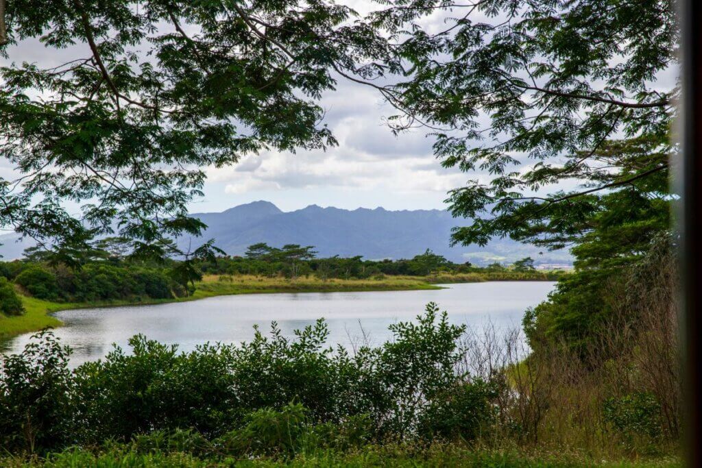 a beautiful view of a lake and the mountains at the Dole Plantation in Hawaii