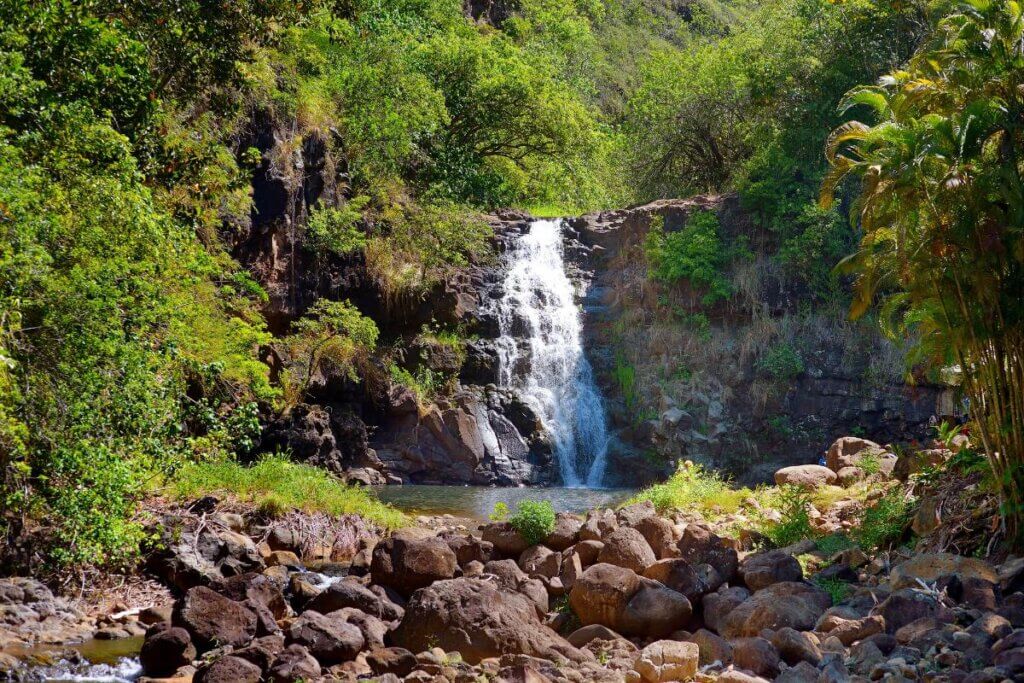 Waimea Valley Garden in Oahu