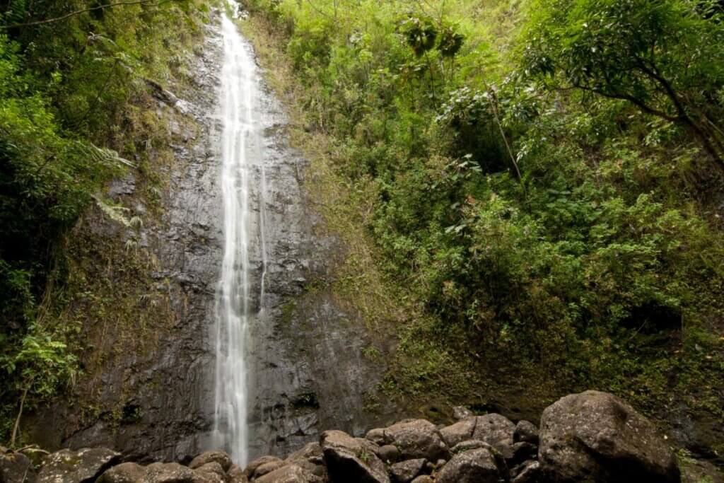 Manoa Falls In Oahu Hawaii