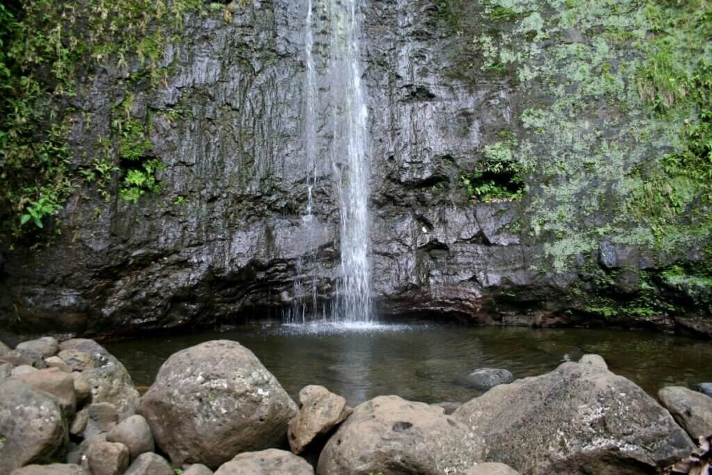 The bottom of Manoa Falls