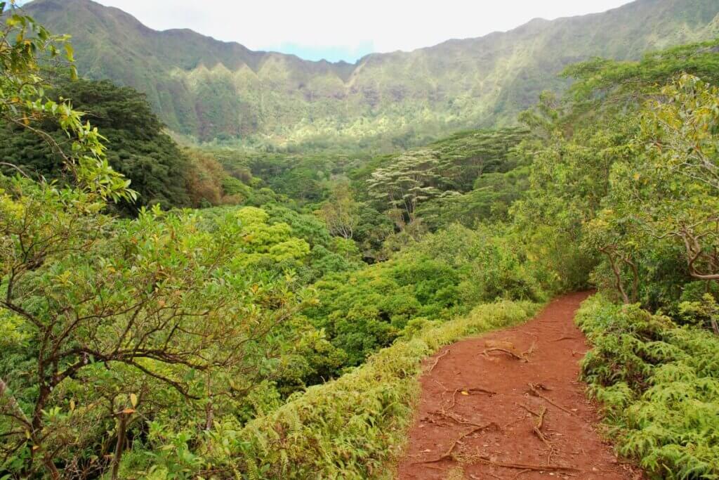 beautiful forest and valley trail to Maunawili Falls