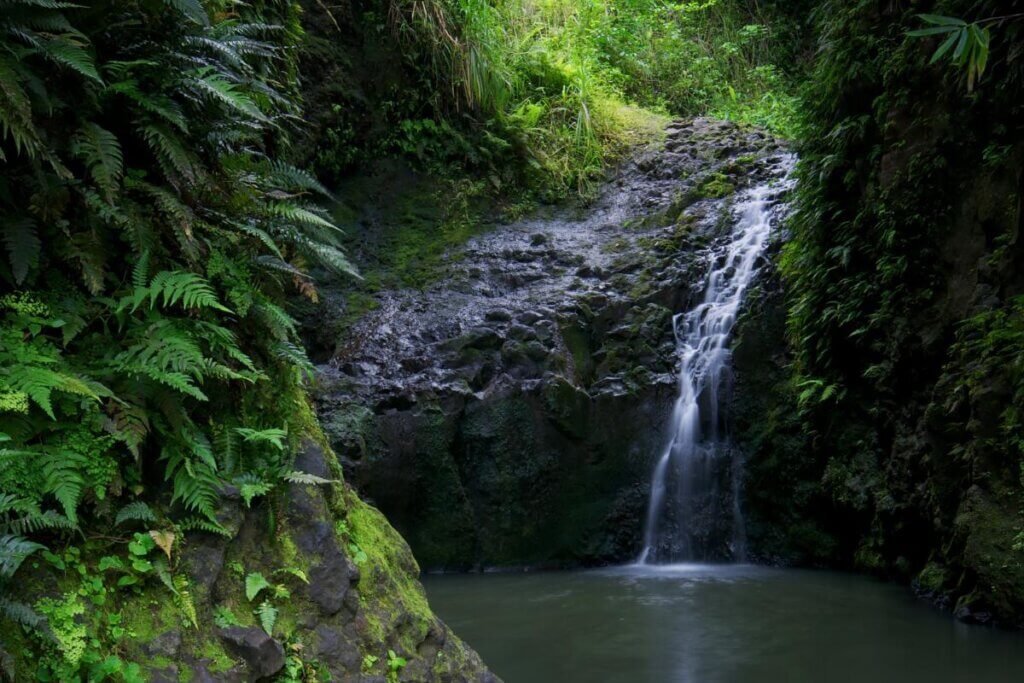 Maunawili Falls in Oahu Hawaii