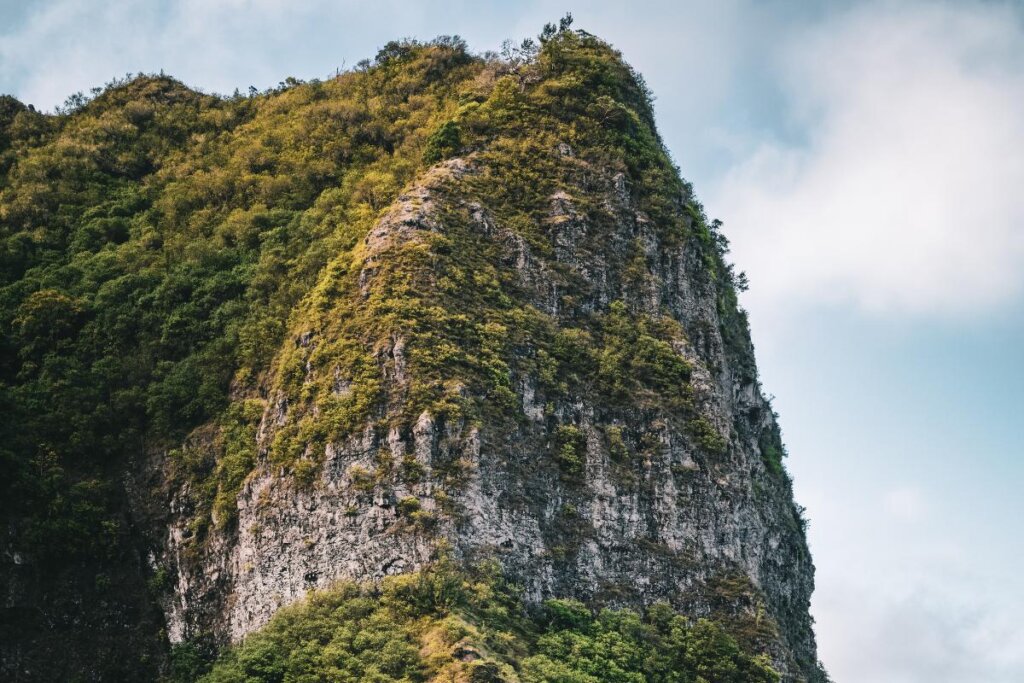 Schofield Waikane Trail view of a mountain on the way to a Oahu Waterfall