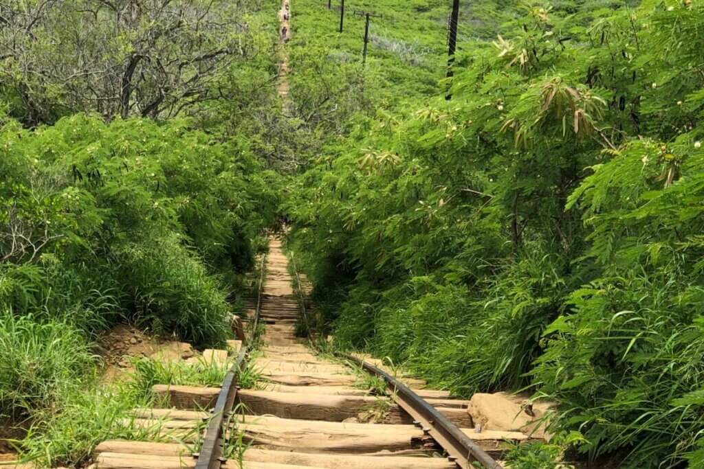 The "stairway to Heaven" or the railroad ties that you have to hike to the top of Koko Head Crater