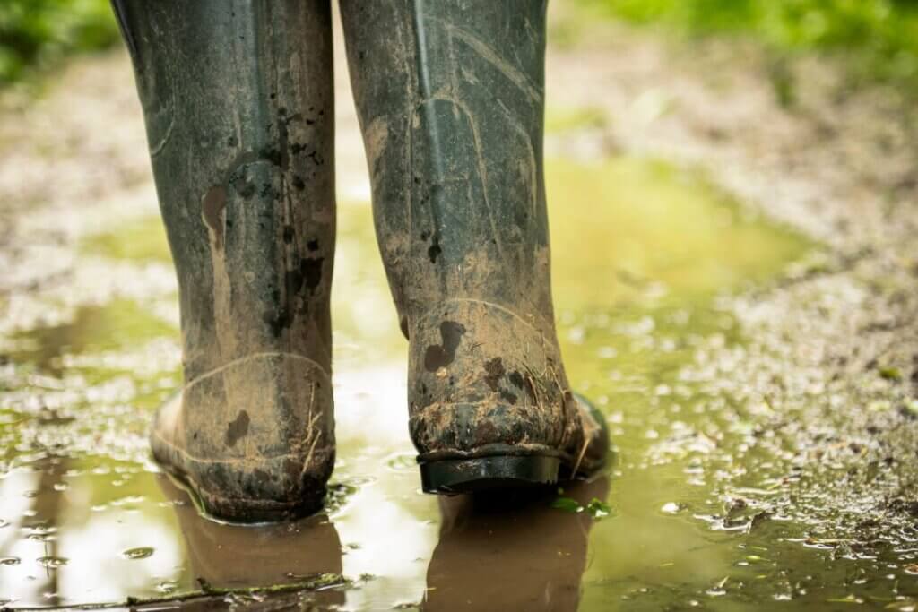 muddy boots in a puddle